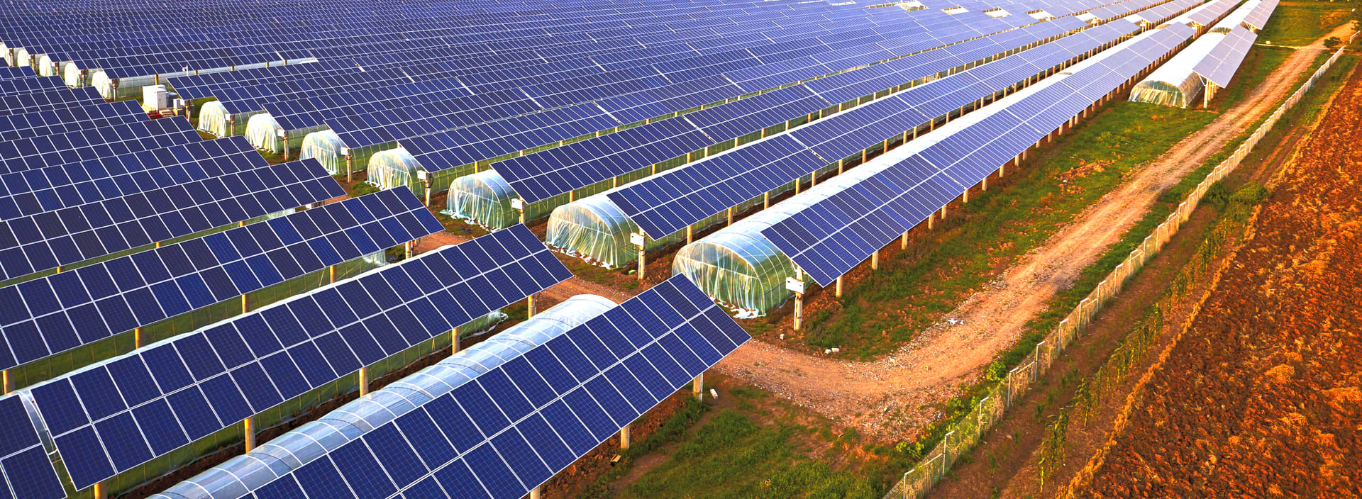 Plano Safra Impulsiona Energia Solar no Campo